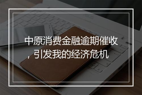中原消费金融逾期催收，引发我的经济危机