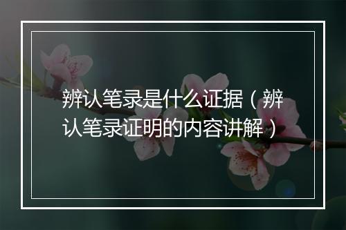 辨认笔录是什么证据（辨认笔录证明的内容讲解）