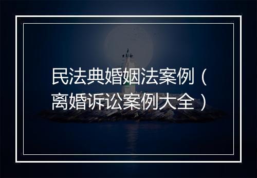 民法典婚姻法案例（离婚诉讼案例大全）
