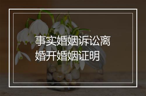 事实婚姻诉讼离婚开婚姻证明