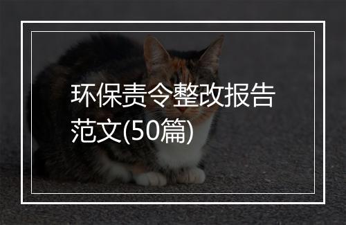 环保责令整改报告范文(50篇)