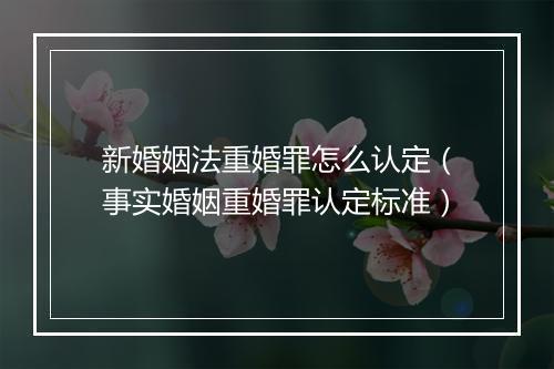新婚姻法重婚罪怎么认定（事实婚姻重婚罪认定标准）