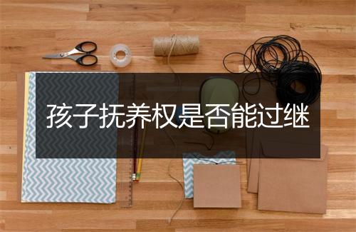 孩子抚养权是否能过继