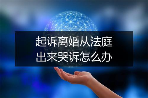起诉离婚从法庭出来哭诉怎么办