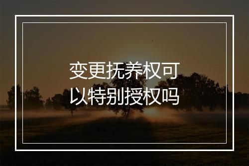 变更抚养权可以特别授权吗