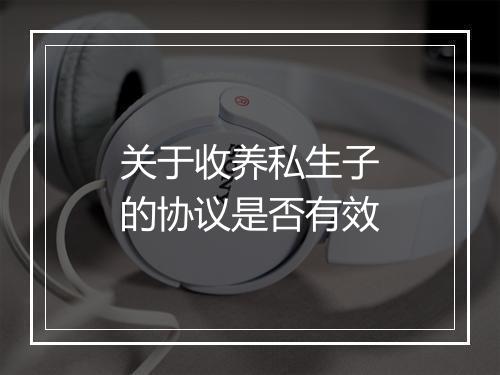 关于收养私生子的协议是否有效