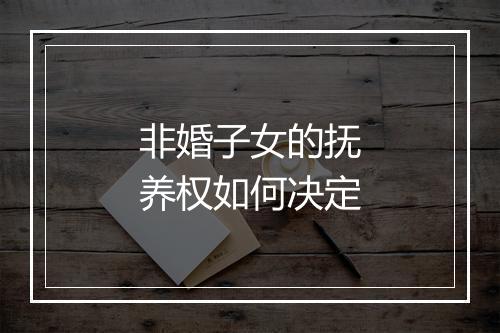 非婚子女的抚养权如何决定
