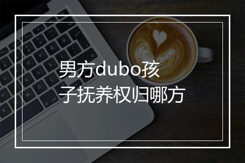 男方dubo孩子抚养权归哪方