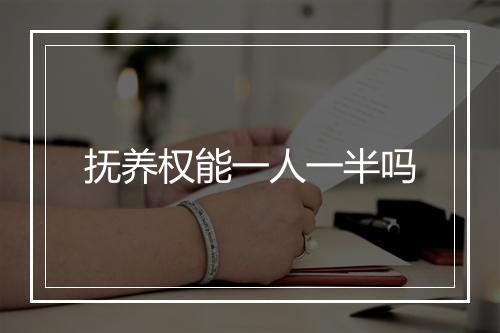 抚养权能一人一半吗