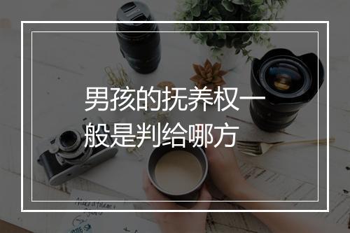 男孩的抚养权一般是判给哪方