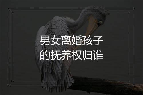 男女离婚孩子的抚养权归谁