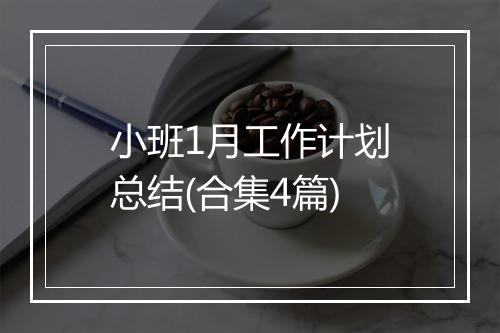 小班1月工作计划总结(合集4篇)