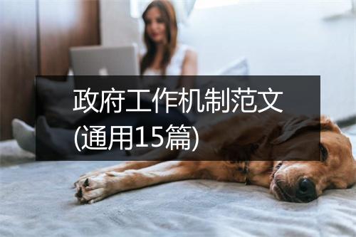 政府工作机制范文(通用15篇)