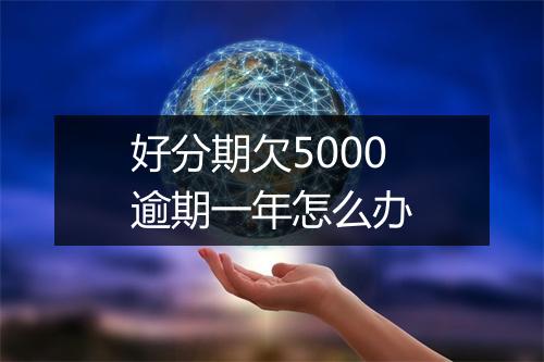 好分期欠5000逾期一年怎么办
