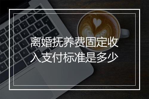 离婚抚养费固定收入支付标准是多少