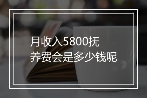 月收入5800抚养费会是多少钱呢