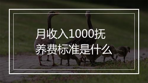 月收入1000抚养费标准是什么