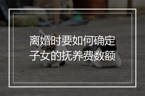 离婚时要如何确定子女的抚养费数额