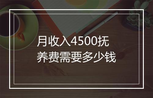 月收入4500抚养费需要多少钱