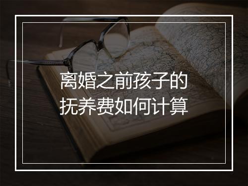 离婚之前孩子的抚养费如何计算