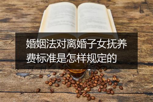 婚姻法对离婚子女抚养费标准是怎样规定的