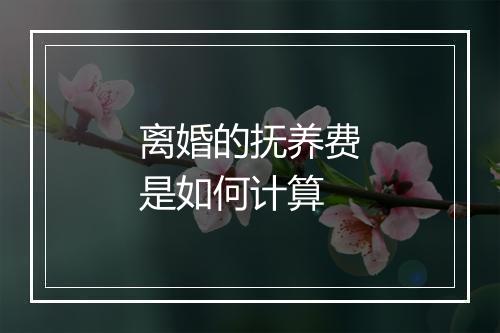 离婚的抚养费是如何计算