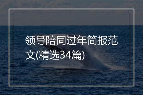 领导陪同过年简报范文(精选34篇)
