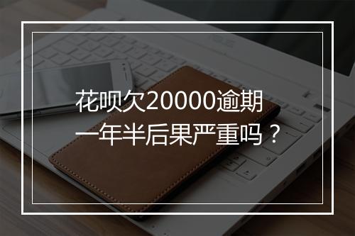 花呗欠20000逾期一年半后果严重吗？