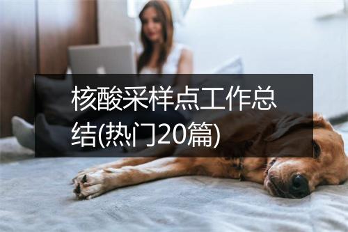 核酸采样点工作总结(热门20篇)