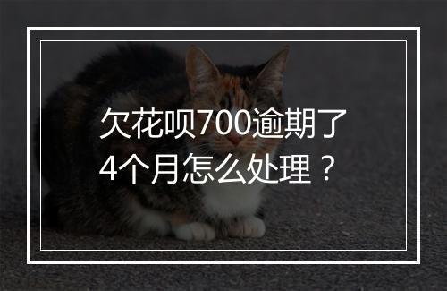 欠花呗700逾期了4个月怎么处理？