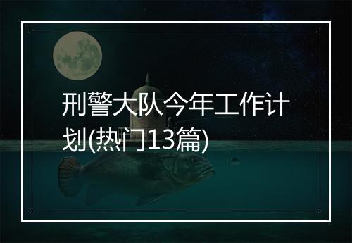 刑警大队今年工作计划(热门13篇)
