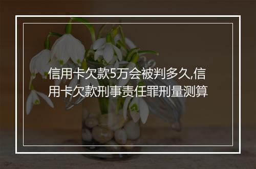 信用卡欠款5万会被判多久,信用卡欠款刑事责任罪刑量测算