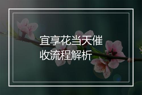 宜享花当天催收流程解析