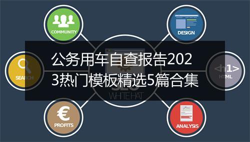 公务用车自查报告2023热门模板精选5篇合集