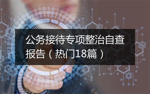公务接待专项整治自查报告（热门18篇）