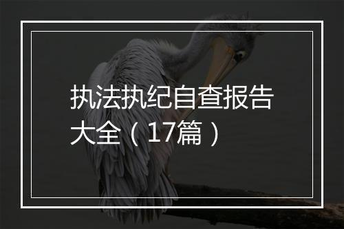执法执纪自查报告大全（17篇）