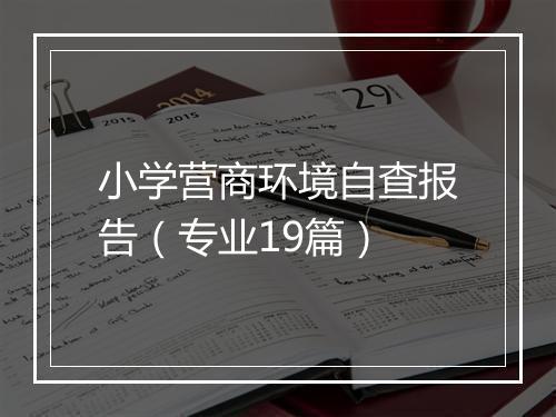 小学营商环境自查报告（专业19篇）