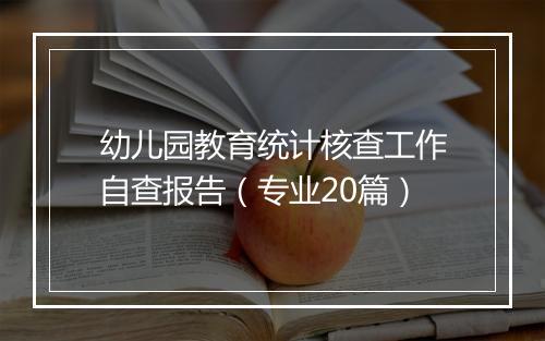 幼儿园教育统计核查工作自查报告（专业20篇）