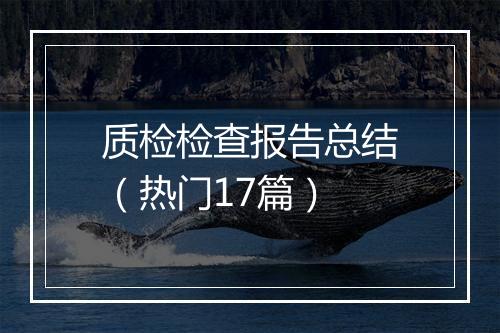 质检检查报告总结（热门17篇）