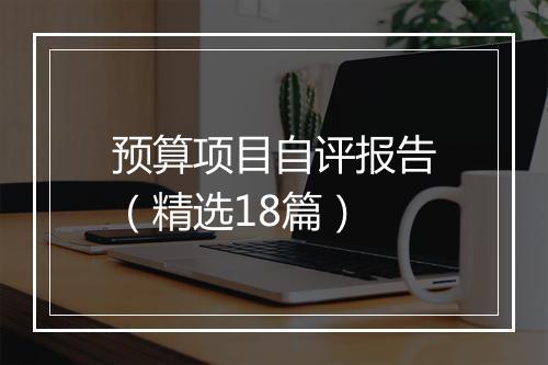 预算项目自评报告（精选18篇）