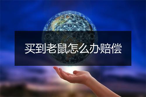 买到老鼠怎么办赔偿