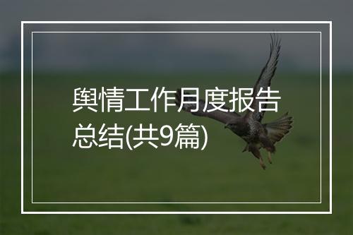 舆情工作月度报告总结(共9篇)