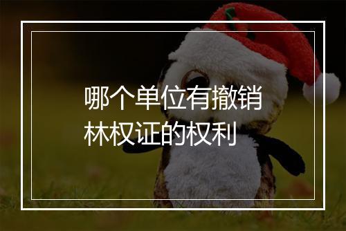 哪个单位有撤销林权证的权利