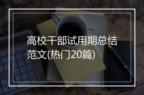 高校干部试用期总结范文(热门20篇)