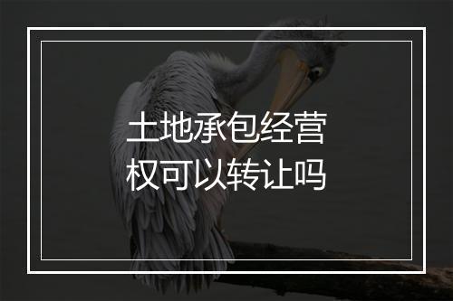 土地承包经营权可以转让吗