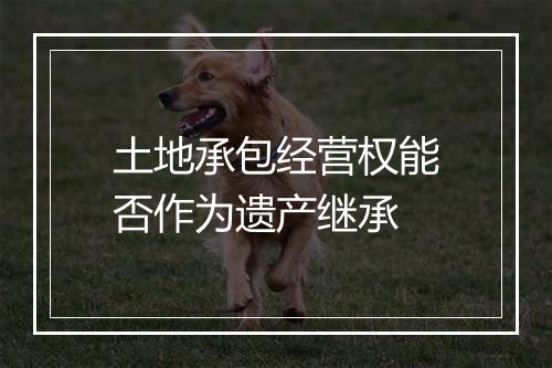 土地承包经营权能否作为遗产继承
