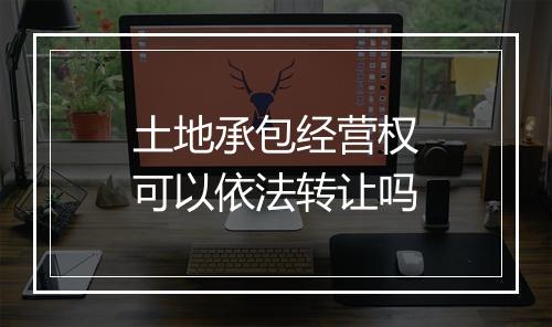 土地承包经营权可以依法转让吗