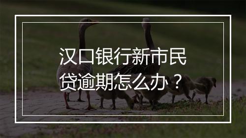 汉口银行新市民贷逾期怎么办？