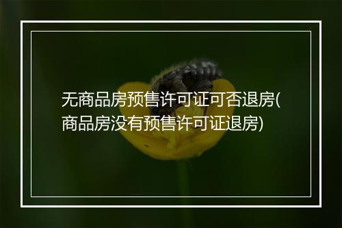 无商品房预售许可证可否退房(商品房没有预售许可证退房)