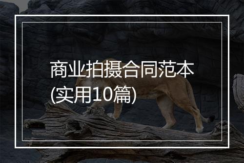 商业拍摄合同范本(实用10篇)